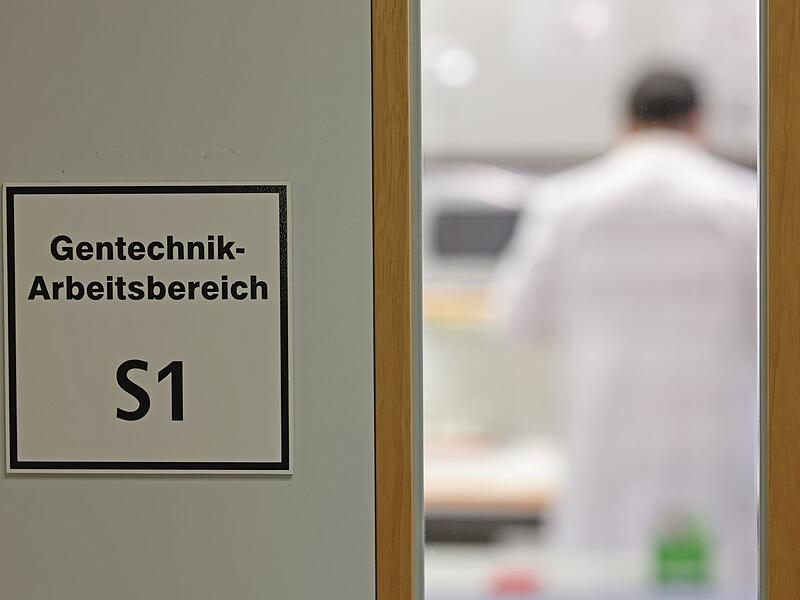 Forschung zu klimaresistenten Pflanzen am IPK Gatersleben Forschung zu klimaresistenten Pflanzen am IPK Gatersleben