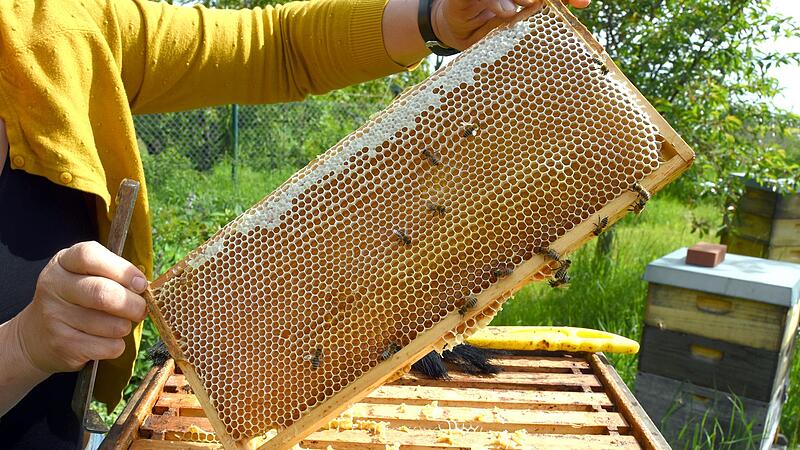Hobbyimkerin im Süden Leipzigs