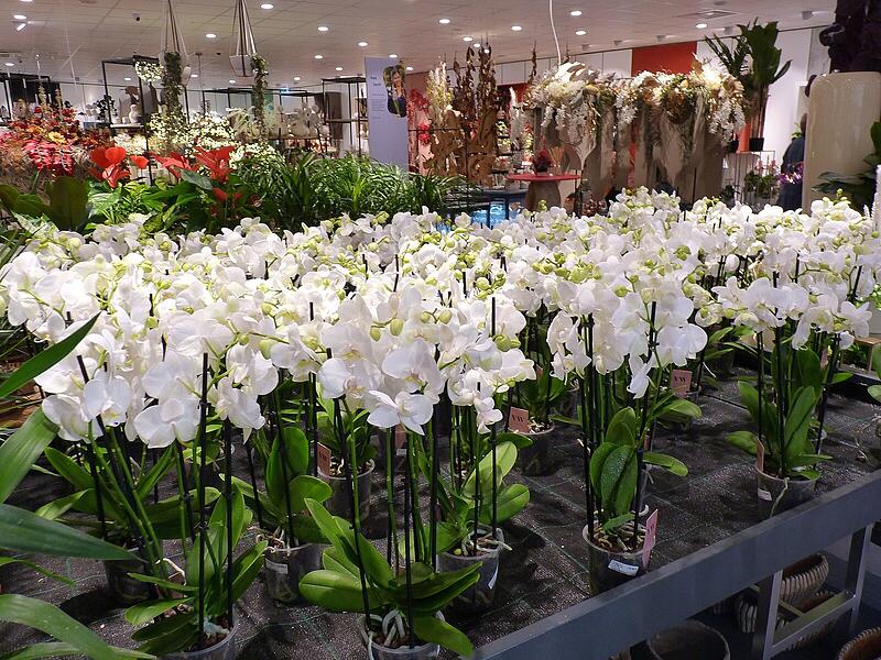 Impressionen aus dem Laden