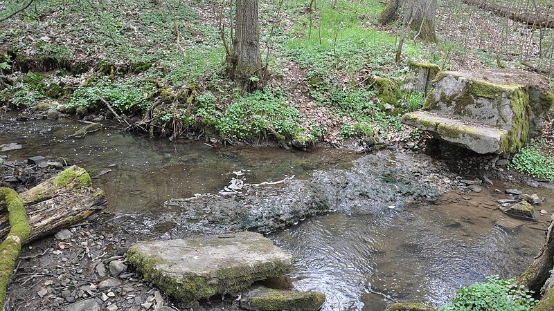 Aufgelassenes Wehr im Scheidsbach