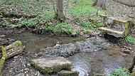 Aufgelassenes Wehr im Scheidsbach Aufgelassenes Wehr im Scheidsbach