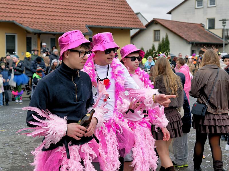 Alle Fotos vom Faschingszug in Oberhaid 2026