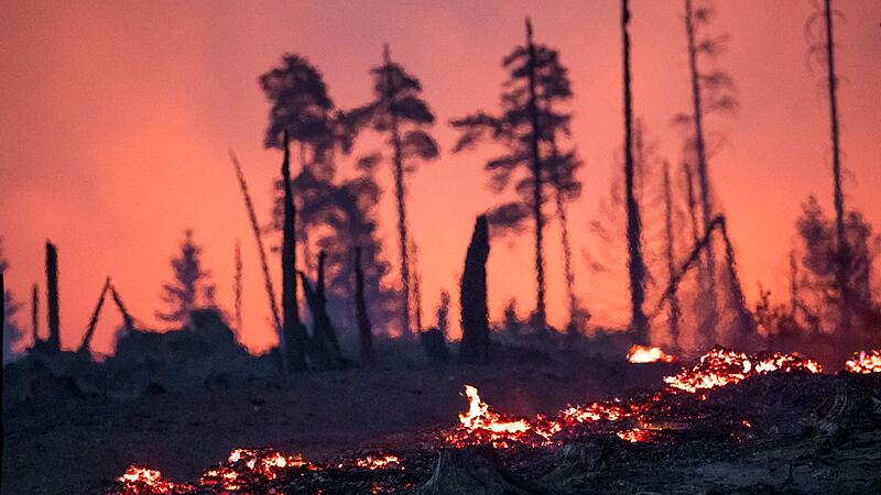 Waldbrand in Th&uuml;ringen