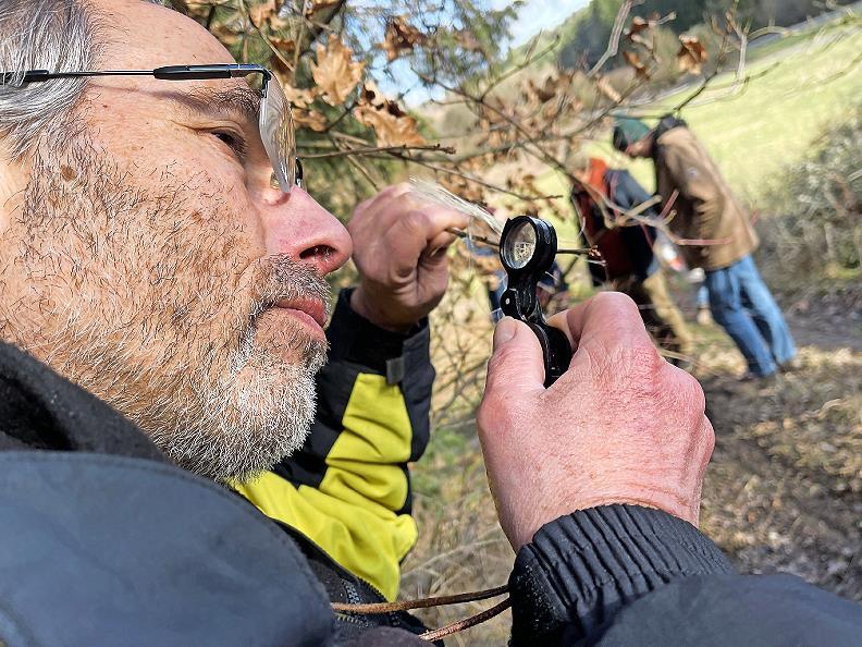 Max Schmucker f&uuml;hrt in die Welt der Schmetterlinge in der kalten Jahreszeit.