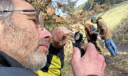 Max Schmucker führt in die Welt der Schmetterlinge in der kalten Jahreszeit. Max Schmucker führt in die Welt der Schmetterlinge in der kalten Jahreszeit.