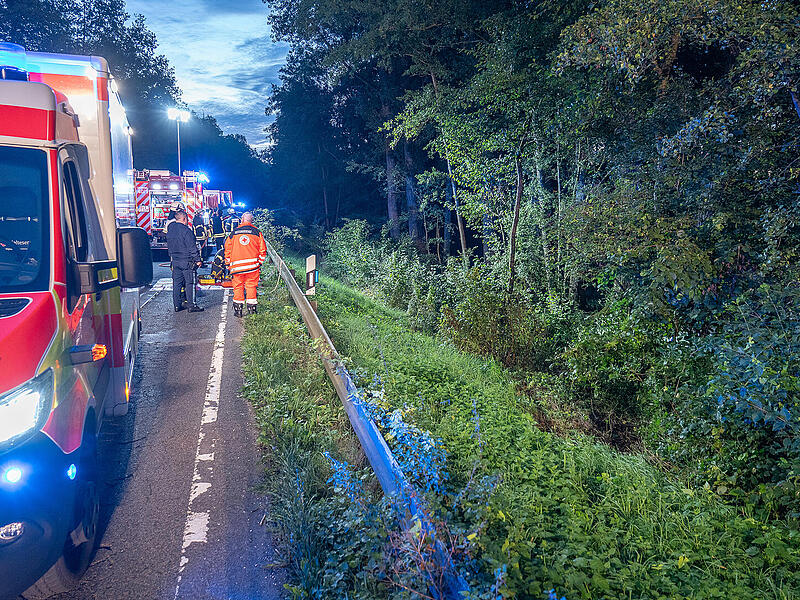 Auto st&uuml;rzt B&ouml;schung hinab: Feuerwehr befreit Frau und Hund aus Fahrzeug