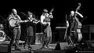 Die Bamberger Blues- und Stringband „The See See Riders“ hat es bis ins Finale der International Blues Challenge in Memphis (USA) geschafft.