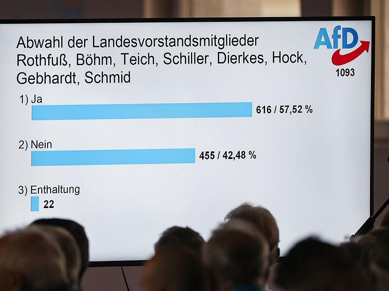 Landesparteitag AfD Bayern