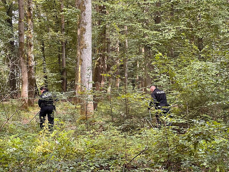 33-Jährige vermisst: Mann wegen des Verdachts des Totschlags verhaftetVermisstenfall Bammersdorf 33-Jährige vermisst: Mann wegen des Verdachts des Totschlags verhaftetVermisstenfall Bammersdorf