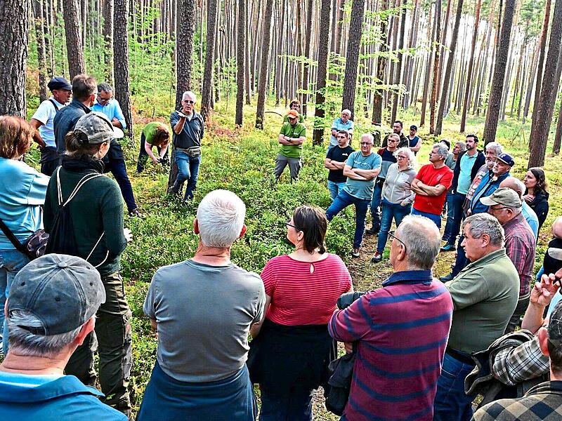 Die Besucher kamen zum ersten „Waldnachmittag“ nach Röttenbach. Die Besucher kamen zum ersten „Waldnachmittag“ nach Röttenbach.