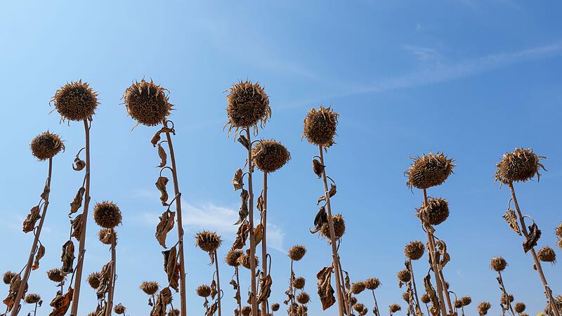 Sommerhitze auf dem Balkan