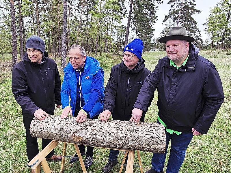 Der Struppige Stachelrindenpilz wird in Totholz &bdquo;geimpft&ldquo;, damit er anwachsen kann. Auf ein gutes Ergebnis hoffen (v.&nbsp;l.) Professor Claus B&auml;ssler (Universit&auml;t Bayreuth), Thorsten Glauber (Umweltminister und Stiftungsratsvorsitzender des Bayerische...