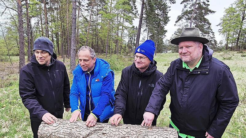 Der Struppige Stachelrindenpilz wird in Totholz &bdquo;geimpft&ldquo;, damit er anwachsen kann. Auf ein gutes Ergebnis hoffen (v.&nbsp;l.) Professor Claus B&auml;ssler (Universit&auml;t Bayreuth), Thorsten Glauber (Umweltminister und Stiftungsratsvorsitzender des Bayerische...