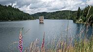 Trinkwassertalsperre Mauthaus Trinkwassertalsperre Mauthaus