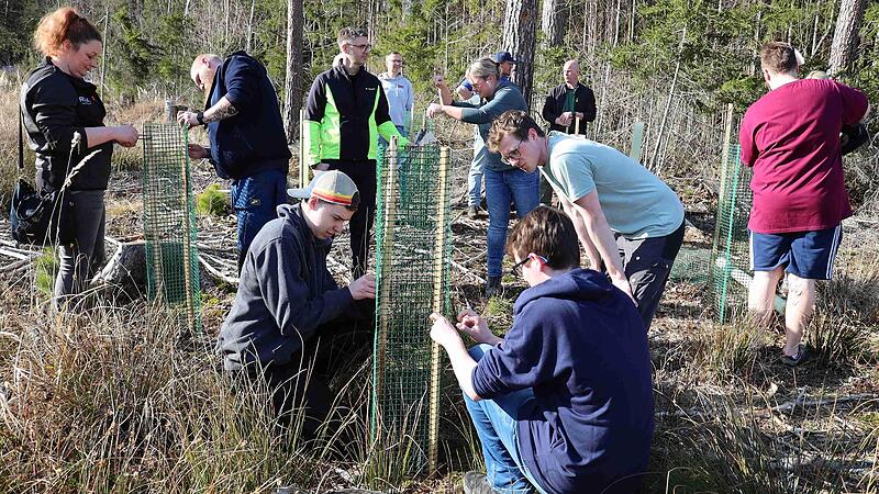 Das fachm&auml;nnische Anbringen von Verbissschutz wurde ge&uuml;bt.