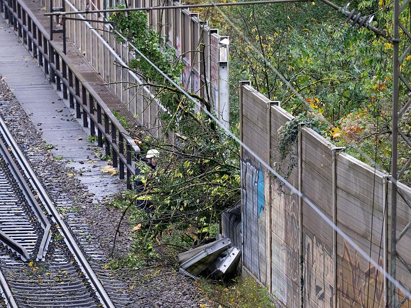 Regionalzug fährt in München gegen umgestürzten Baum