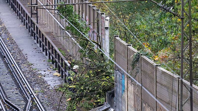 Regionalzug fährt in München gegen umgestürzten Baum