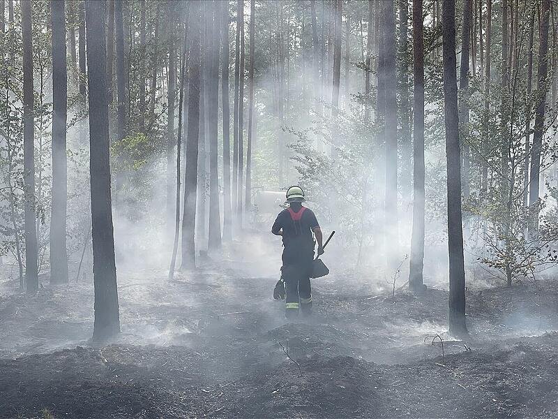 Waldbrand im Landkreis Bamberg Waldbrand im Landkreis Bamberg