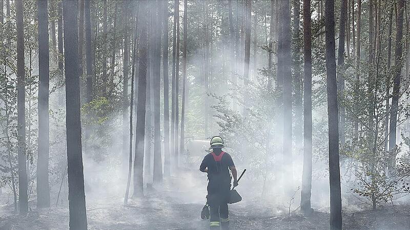 Waldbrand im Landkreis Bamberg Waldbrand im Landkreis Bamberg