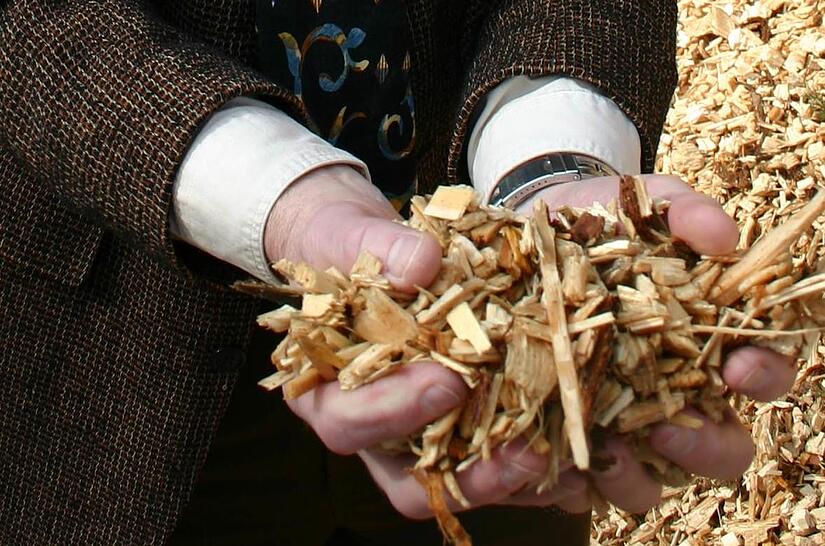 Für eine Handvoll Schnitzel: Das ist der konkurrenzlos günstige Brennstoff im Eltmanner Heizwerk. Für eine Handvoll Schnitzel: Das ist der konkurrenzlos günstige Brennstoff im Eltmanner Heizwerk.
