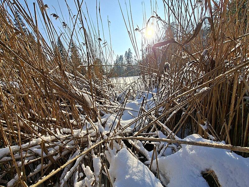 Leserfotos: So sch&ouml;n ist der Frankenwald im SchneeLeserfotos Schnee Januar 2026