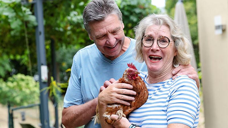 Familie rettet ausgediente Legehennen Familie rettet ausgediente Legehennen