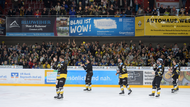 Sehen die Fans der Tigers die Bayreuther Eishockey-Profis noch einmal auf dem Eis?