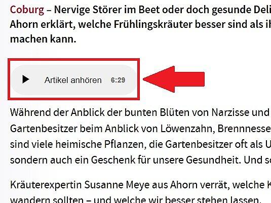 Mit einem Klick auf "Artikel anhören" können Sie sich Artikel auf fränkischertag.de ganz einfach vorlesen lassen.