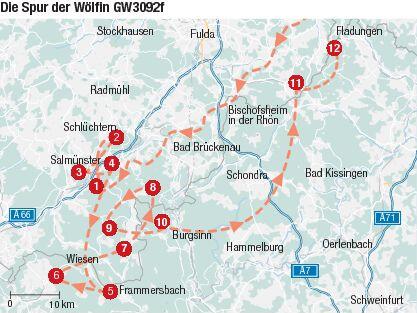 Die Spur der Wölfin GW3092f