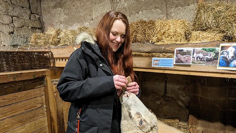 Tierheim H&ouml;chstadt