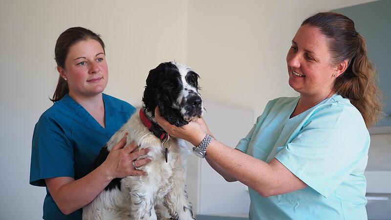 Tierarztfachangestellte Jennifer Meisenbach (links)  und Tier&auml;rztin Sandra Uebelhack untersuchen einen Cocker Spaniel in der neuen Praxis im Neustadter Industriegebiet.