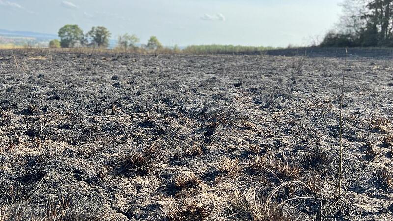 Das verbrannte Feld bei Eichelsdorf gleich einer Mondlandschaft.