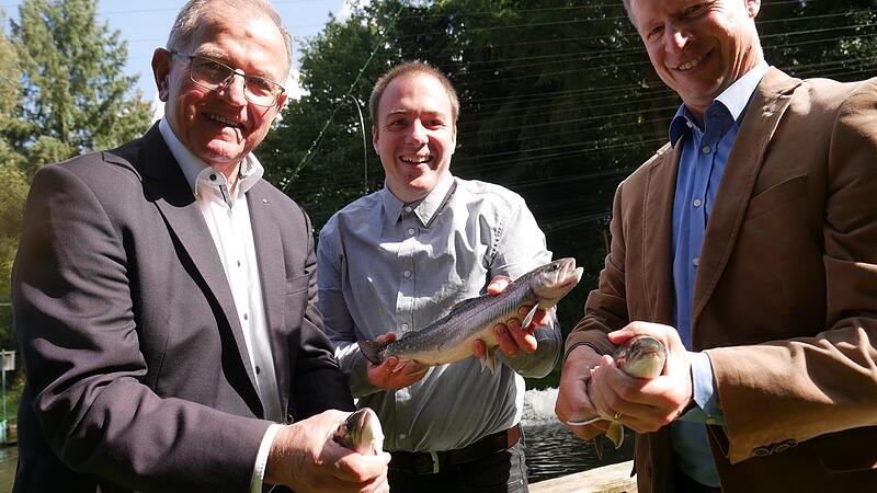 Zertifzierung Fischzucht Hein Bezirktagspräsident Erwin Dotzel (links) sowie Michael Kolahsa von der Fischereifachberatung des Bezirks (rechts) begutachten mit Christoph Hein dessen fangfrische Saiblinge.Heike Beudert