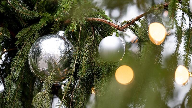 Weihnachtsbaum Weihnachtsbaum