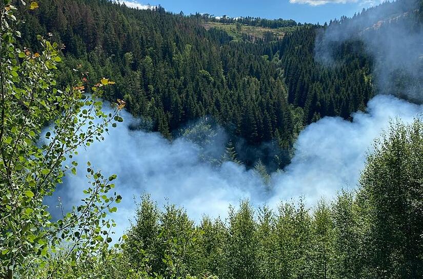 Bei Ludiwgsstadt brannte der Wald.