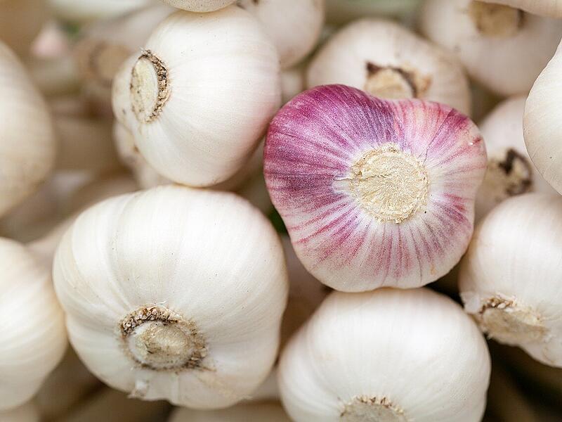 Knoblauch, Kastanien und Ziergräser