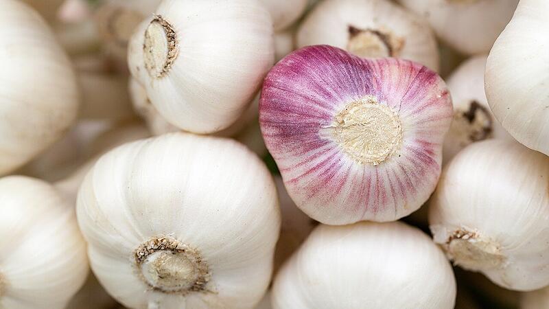 Knoblauch, Kastanien und Ziergräser