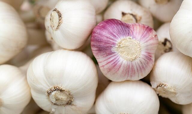 Knoblauch, Kastanien und Ziergräser