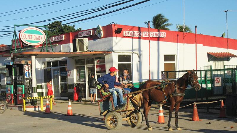 Pferdegespann in Viñales