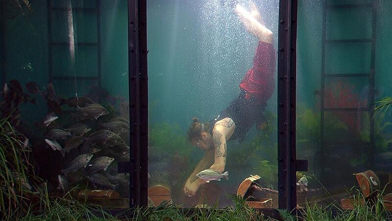 Ich bin ein Star - Holt mich hier raus! - Tag 10