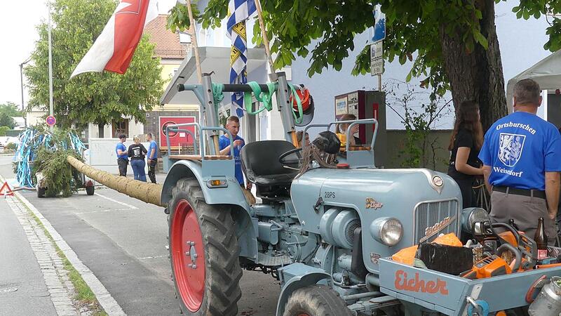 Mit seinem historischen Traktor der traditionell hellblau lackierten Marke Eicher brachte Hans-Peter Schmidt den Kirchweihbaum ins Dorf.