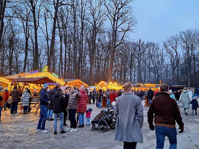 Die Buden bieten heiße Getränke und fränkische Spezialitäten.Forchheimer Winterzauber