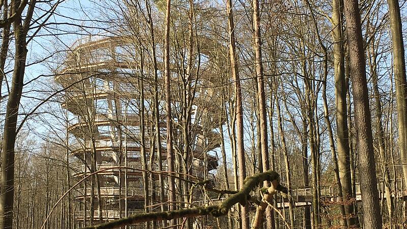 Der Aussichtsturm am Baumwipfelpfad bei Ebrach verschmilzt mit dem Wald.