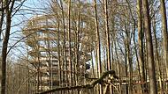 Der Aussichtsturm am Baumwipfelpfad bei Ebrach verschmilzt mit dem Wald.