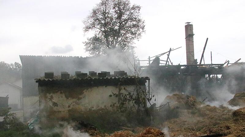 V&ouml;llig zerst&ouml;rt wurde eine 20 mal 40 Meter gro&szlig;e Scheune in Uetzing durch die Flammen.