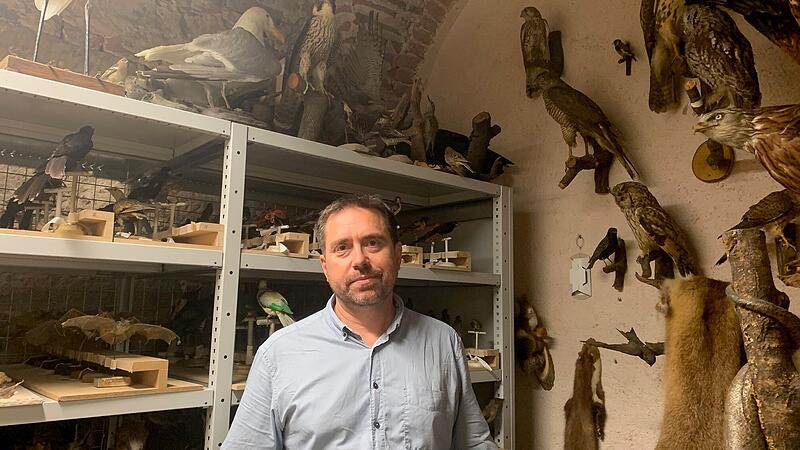 Zwischen Adlern und Mardern: Leiter Oliver Wings findet, dass in den Archiv-R&auml;umlichkeiten des Naturkundemuseums gro&szlig;er Platzmangel herrscht.