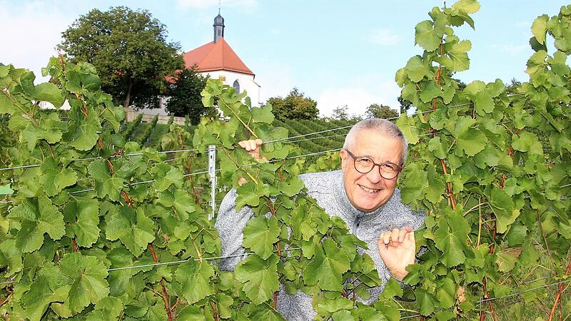 Der gebürtige Haßfurter Volker Sebold lässt seinen Ermittler Utz in Sichtweite der Vogelsburg zu neuen Erkenntnissen kommen. Der gebürtige Haßfurter Volker Sebold lässt seinen Ermittler Utz in Sichtweite der Vogelsburg zu neuen Erkenntnissen kommen.