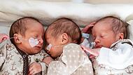 Eineiige Drillinge in Bamberg geboren Eineiige Drillinge in Bamberg geboren