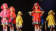 Die Minigarde begeisterte beim Senioren-Fasching in Stadtsteinach mit kunterbunten Regen-Kostümen.