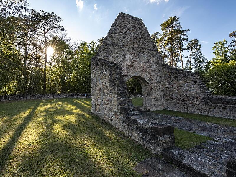 Die Ruine der Michelskirche ist eine Sehensw&uuml;rdigkeit auf der Extratour Michelsberg bei M&uuml;nnerstadt.